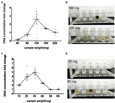 Freeze-Thaw Pretreatment Can Improve Efficiency of Bacterial DNA Extraction From Meconium